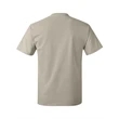 Hanes Authentic T-Shirt