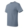 Hanes Authentic T-Shirt