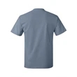 Hanes Authentic T-Shirt