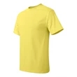 Hanes Authentic T-Shirt