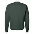 Hanes Ecosmart® Crewneck Sweatshirt