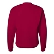 Hanes Ecosmart® Crewneck Sweatshirt