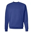 Hanes Ecosmart® Crewneck Sweatshirt