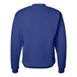 Hanes Ecosmart® Crewneck Sweatshirt