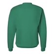 Hanes Ecosmart® Crewneck Sweatshirt