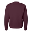 Hanes Ecosmart® Crewneck Sweatshirt