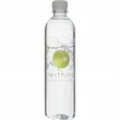 Bottled Water 16.9 oz Tall Bullet/Cylinder