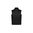 Expedition Men's Vest