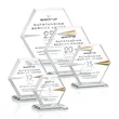 Barnett VividPrint™ Award - Clear
