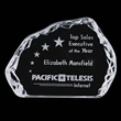 Aspen Iceberg Award