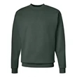 Hanes Ecosmart® Crewneck Sweatshirt