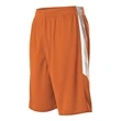 Alleson Athletic Youth Single Ply Reversible Shorts
