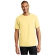 Hanes Authentic 100% Cotton T-Shirt.