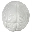 Prime Line Brain Shape Stress Reliever