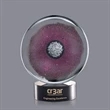 Reflex Award