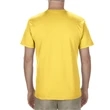 Adult 5.5 oz., 100% Soft Spun Cotton T-Shirt