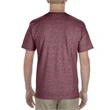 Adult 5.5 oz., 100% Soft Spun Cotton T-Shirt