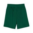 Men's 7" Inseam Lined Micro Mesh Shorts