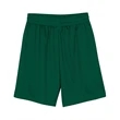 Men's 9" Inseam Micro Mesh Shorts