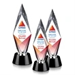 Manilow Award - VividPrint™