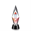 Manilow Award - VividPrint™