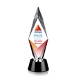 Manilow Award - VividPrint™