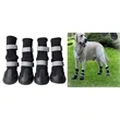 Dog Boots