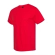 Hanes Beefy-T® T-Shirt