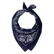 Valucap ValuMask Bandana