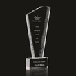 Maddox Award