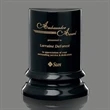 Triumph Award