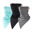 Face Mask/ Windproof Veil
