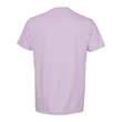 Comfort Colors Garment-Dyed Lightweight T-Shirt