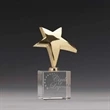 Rising Star Award