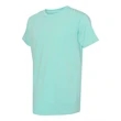 Comfort Colors Garment-Dyed Lightweight T-Shirt