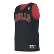Alleson Athletic Youth NBA Logo'd Reversible Jersey