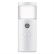 Portable Small Facial Mist Sprayer