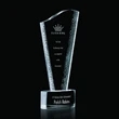 Maddox Award