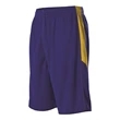 Alleson Athletic Youth Single Ply Reversible Shorts