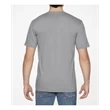 Adult Softstyle EZ Print T-Shirt