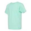 Hanes Ecosmart™ Youth T-Shirt