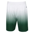 Badger Hex 2.0 Shorts