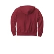 Champion Reverse Weave Hooded Sweatshirt