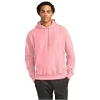 Champion Reverse Weave Hooded Sweatshirt