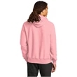 Champion Reverse Weave Hooded Sweatshirt