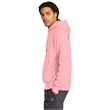 Champion Reverse Weave Hooded Sweatshirt