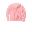 Champion Reverse Weave Hooded Sweatshirt