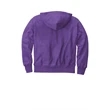 Champion Reverse Weave Hooded Sweatshirt