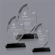 Waldorf Award