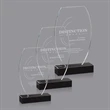Buhler Award